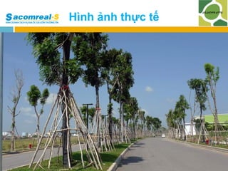 Hình ảnh thực tế

 