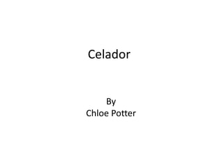 Celador 
By 
Chloe Potter 
 