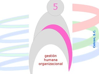 Celcon, S.C.
celconsc@yahoo.com
 