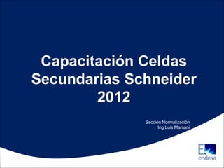 Capacitación Celdas
Secundarias Schneider
2012
Sección Normalización
Ing Luis Mamani
 