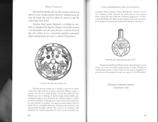 BesIr-B Var-nNrrN
Domnul fie lIudat, ale Lui fie onoarea, virtutea si
slava in vecii vecilo! pentru harul si intelepciunea pe
care de buni voie mi le-a oferit in urmd cu atdt de
mult timp! Aga sd fie!
Acestea fiind spuse, bitrdnul s-a in5ltat in vdz-
duh 9i a dispirut dinfagalor. Dupi ce lucrurile acestea
s-au intdmplat cum am spus, fiecare s-a intors in locul
din care venise gi gi-a concentrat spiritul, actiondnd
dupi intelepciunea pe care i*o oferise Dumnezeu.
Grar,'urd. din editia din 1.624, p.22.
[Aceasti gravuri inclusi intr-o medalie ne permite si vedem
cercul celor sapte plaltete, in partea superioard. Mercur susline o
cupi in care vin si se scalde Soarele 9i Luna. Jos, existi trei mici
l:Iazoane, pe care se distinge, in partea stengi, r,rrlturul dublu, care
aminteste imaginea unui manuscris din ,,Atalanta fugiens", emble-
ma XLV. in dreapta se distinge leul. Lupta acestor doud naturi face
loc apei instelate si metalice, care Lpare pe micul blazon situat in
partea de jos a mandalei hermetice. Deasupra acestui blazon este
reprczentatd. hieroglifa stibinei. De o parte si de cealaltd se afld
simboluri ale migcirii planetelor. in jurul acesfui ansamblu este
44
@
@
Cnln ooui.spREZEcE cHEI ALE FrLos()r,'u.l
acronimul Visita. Interiore. Terrae. Rectificando. Invenies. Occul-
tum. Lapidem. Unele elemente a1e acestei gral'uri sunt preiuate
dintr-o guagi din anul 1590, din ,,Viatorum spagyricum" de Her-
brandt Jamsthlaer. De altfel, aceasti imagine avea si fie prezenti si
pe frontispiciul ,,Ldnii de aur" atribuite lui Salomon Trismosin.]
. Ilustralie din edilia germani de la 7877 .
fDragonul simbohzeazd. Materia primi. Apar doud mici cercuri,
dintre care unul ii inconjoard aripile, pentru a indica Voiatilul, iar
celllalt labele, pentru a indica Fixul. Cei trei gerpi gi triunghiul re-
prezinti. cele trei principii, iar torul este cuprins in Oul Filosofilor].
Sfdrgitul cuvintului inainte
si al primei c[rti
45
 