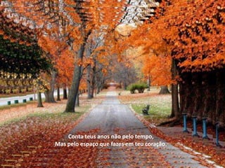 Conta teus anos não pelo tempo,
Mas pelo espaço que fazes em teu coração.
 