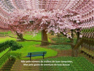 Não pelo número de troféus de tuas conquistas,
  Mas pelo gosto de aventura de tuas buscas.
 