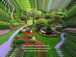 Não pelos frutos que colheste,
Mas pelo terreno que preparaste,
  E as sementes que lançaste.
 