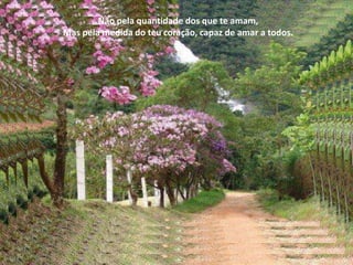 Não pela quantidade dos que te amam,
Mas pela medida do teu coração, capaz de amar a todos.
 