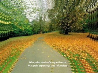 Não pelas desilusões que tiveste,
Mas pela esperança que infundiste.
 