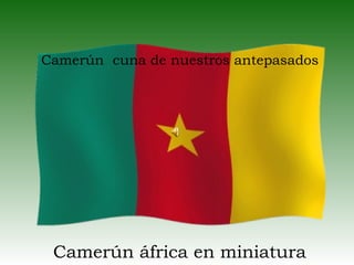 Camerún cuna de nuestros antepasados




 Camerún áfrica en miniatura
 