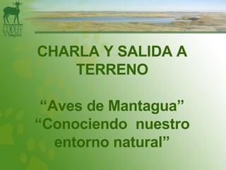 CHARLA Y SALIDA A TERRENO “Aves de Mantagua” “Conociendo  nuestro entorno natural” 