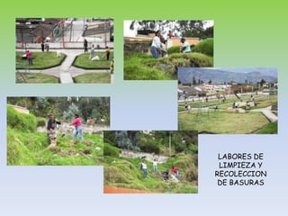 LABORES DE LIMPIEZA Y RECOLECCION DE BASURAS
