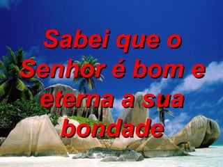 Sabei que o Senhor é bom e eterna a sua bondade 