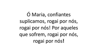 Ó Maria, confiantes
suplicamos, rogai por nós,
rogai por nós! Por aqueles
que sofrem, rogai por nós,
rogai por nós!
 