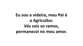 Eu sou a videira, meu Pai é
o Agricultor.
Vós sois os ramos,
permanecei no meu amor.
 