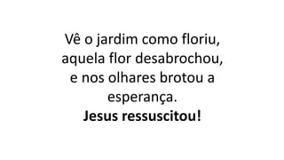 Vê o jardim como floriu,
aquela flor desabrochou,
e nos olhares brotou a
esperança.
Jesus ressuscitou!
 