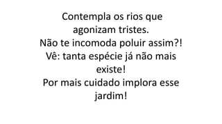 Contempla os rios que
agonizam tristes.
Não te incomoda poluir assim?!
Vê: tanta espécie já não mais
existe!
Por mais cuidado implora esse
jardim!
 