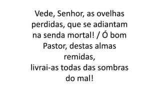 Vede, Senhor, as ovelhas
perdidas, que se adiantam
na senda mortal! / Ó bom
Pastor, destas almas
remidas,
livrai-as todas das sombras
do mal!
 