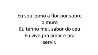 Eu sou como a flor por sobre
o muro
Eu tenho mel, sabor do céu
Eu vivo pra amar e pra
servir.
 