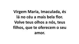 Virgem Maria, Imaculada, és
lá no céu a mais bela flor.
Volve teus olhos a nós, teus
filhos, que te oferecem o seu
amor.
 