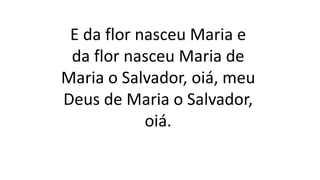 E da flor nasceu Maria e
da flor nasceu Maria de
Maria o Salvador, oiá, meu
Deus de Maria o Salvador,
oiá.
 