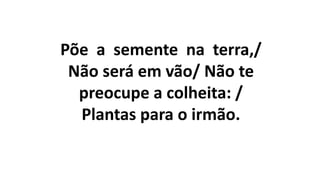 Põe a semente na terra,/
Não será em vão/ Não te
preocupe a colheita: /
Plantas para o irmão.
 
