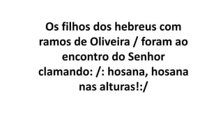 Os filhos dos hebreus com
ramos de Oliveira / foram ao
encontro do Senhor
clamando: /: hosana, hosana
nas alturas!:/
 