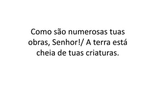 Como são numerosas tuas
obras, Senhor!/ A terra está
cheia de tuas criaturas.
 