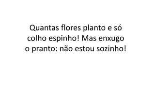 Quantas flores planto e só
colho espinho! Mas enxugo
o pranto: não estou sozinho!
 