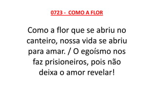 0723 - COMO A FLOR
Como a flor que se abriu no
canteiro, nossa vida se abriu
para amar. / O egoísmo nos
faz prisioneiros, pois não
deixa o amor revelar!
 