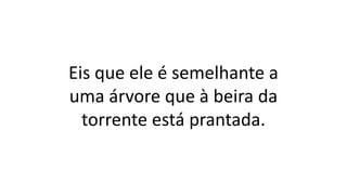 Eis que ele é semelhante a
uma árvore que à beira da
torrente está prantada.
 