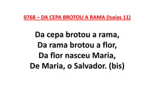 0768 – DA CEPA BROTOU A RAMA (Isaias 11)
Da cepa brotou a rama,
Da rama brotou a flor,
Da flor nasceu Maria,
De Maria, o Salvador. (bis)
 