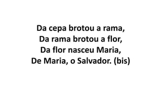 Da cepa brotou a rama,
Da rama brotou a flor,
Da flor nasceu Maria,
De Maria, o Salvador. (bis)
 