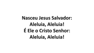 Nasceu Jesus Salvador:
Aleluia, Aleluia!
É Ele o Cristo Senhor:
Aleluia, Aleluia!
 