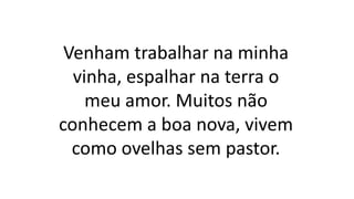 Venham trabalhar na minha
vinha, espalhar na terra o
meu amor. Muitos não
conhecem a boa nova, vivem
como ovelhas sem pastor.
 