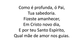 Como é profunda, ó Pai,
Tua sabedoria.
Fizeste amanhecer,
Em Cristo novo dia,
E por teu Santo Espírito,
Qual mãe de amor nos guias.
 