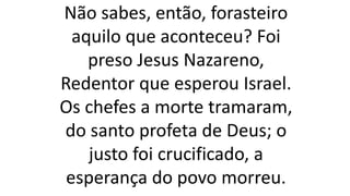 Não sabes, então, forasteiro
aquilo que aconteceu? Foi
preso Jesus Nazareno,
Redentor que esperou Israel.
Os chefes a morte tramaram,
do santo profeta de Deus; o
justo foi crucificado, a
esperança do povo morreu.
 