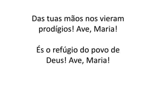 Das tuas mãos nos vieram
prodígios! Ave, Maria!
És o refúgio do povo de
Deus! Ave, Maria!
 