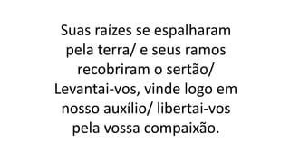 Suas raízes se espalharam
pela terra/ e seus ramos
recobriram o sertão/
Levantai-vos, vinde logo em
nosso auxílio/ libertai-vos
pela vossa compaixão.
 