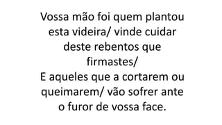 Vossa mão foi quem plantou
esta videira/ vinde cuidar
deste rebentos que
firmastes/
E aqueles que a cortarem ou
queimarem/ vão sofrer ante
o furor de vossa face.
 