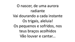 O nascer, de uma aurora
radiante
Vai dourando a cada instante
Os trigais, aleluia!
Os pequenos e sofridos, nos
teus braços acolhidos
Vão louvar e cantar...
 