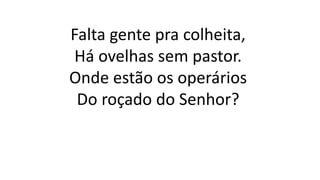 Falta gente pra colheita,
Há ovelhas sem pastor.
Onde estão os operários
Do roçado do Senhor?
 