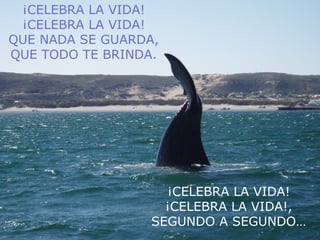 ¡CELEBRA LA VIDA!
¡CELEBRA LA VIDA!
QUE NADA SE GUARDA,
QUE TODO TE BRINDA.
¡CELEBRA LA VIDA!
¡CELEBRA LA VIDA!,
SEGUNDO A SEGUNDO…
 