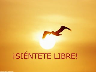 ¡SIÉNTETE LIBRE!
 