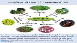 Celebrate The Microbial That Sustain Our Food System With Benedict T Palen Jr
We often lavish praise on the farmers who sow and reap or the chefs who transform humble ingredients into culinary masterpieces.
However, there's a whole cast of unsung heroes working tirelessly beneath the surface of our plates – the invisible orchestra of
microbes. These tiny titans, unseen and often unappreciated, play a crucial role in every stage of the food journey. Benedict T
Palen Jr states that they are helping us to make our food better, from nurturing seeds in the soil to influencing the flavors that
dance on our tongues.
 