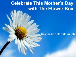 Celebrate This Mother’s Day
with The Flower Box
Best online florists in UK
 