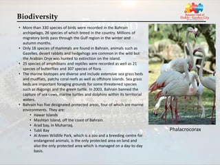 Biodiversity
• More than 330 species of birds were recorded in the Bahrain
  archipelago, 26 species of which breed in the country. Millions of
  migratory birds pass through the Gulf region in the winter and
  autumn months.
• Only 18 species of mammals are found in Bahrain, animals such as
  Gazelles, desert rabbits and hedgehogs are common in the wild but
  the Arabian Oryx was hunted to extinction on the island.
• 25 species of amphibians and reptiles were recorded as well as 21
  species of butterflies and 307 species of flora.
• The marine biotopes are diverse and include extensive sea grass beds
  and mudflats, patchy coral reefs as well as offshore islands. Sea grass
  beds are important foraging grounds for some threatened species
  such as dugongs and the green turtle. In 2003, Bahrain banned the
  capture of sea cows, marine turtles and dolphins within its territorial
  waters.
• Bahrain has five designated protected areas, four of which are marine
  environments. They are:
      • Hawar Islands
      • Mashtan Island, off the coast of Bahrain.
      • Arad bay, in Muharraq.
      • Tubli Bay                                                           Phalacrocorax
      • Al Areen Wildlife Park, which is a zoo and a breeding centre for
        endangered animals, is the only protected area on land and
        also the only protected area which is managed on a day-to-day
        basis.
 