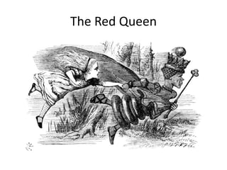The Red Queen
 