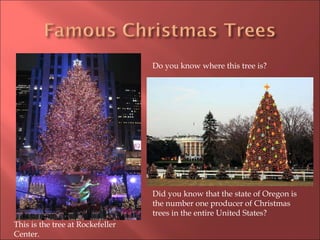 Did you know that the state of Oregon is the number one producer of Christmas trees in the entire United States? This is the tree at Rockefeller Center. Do you know where this tree is? 