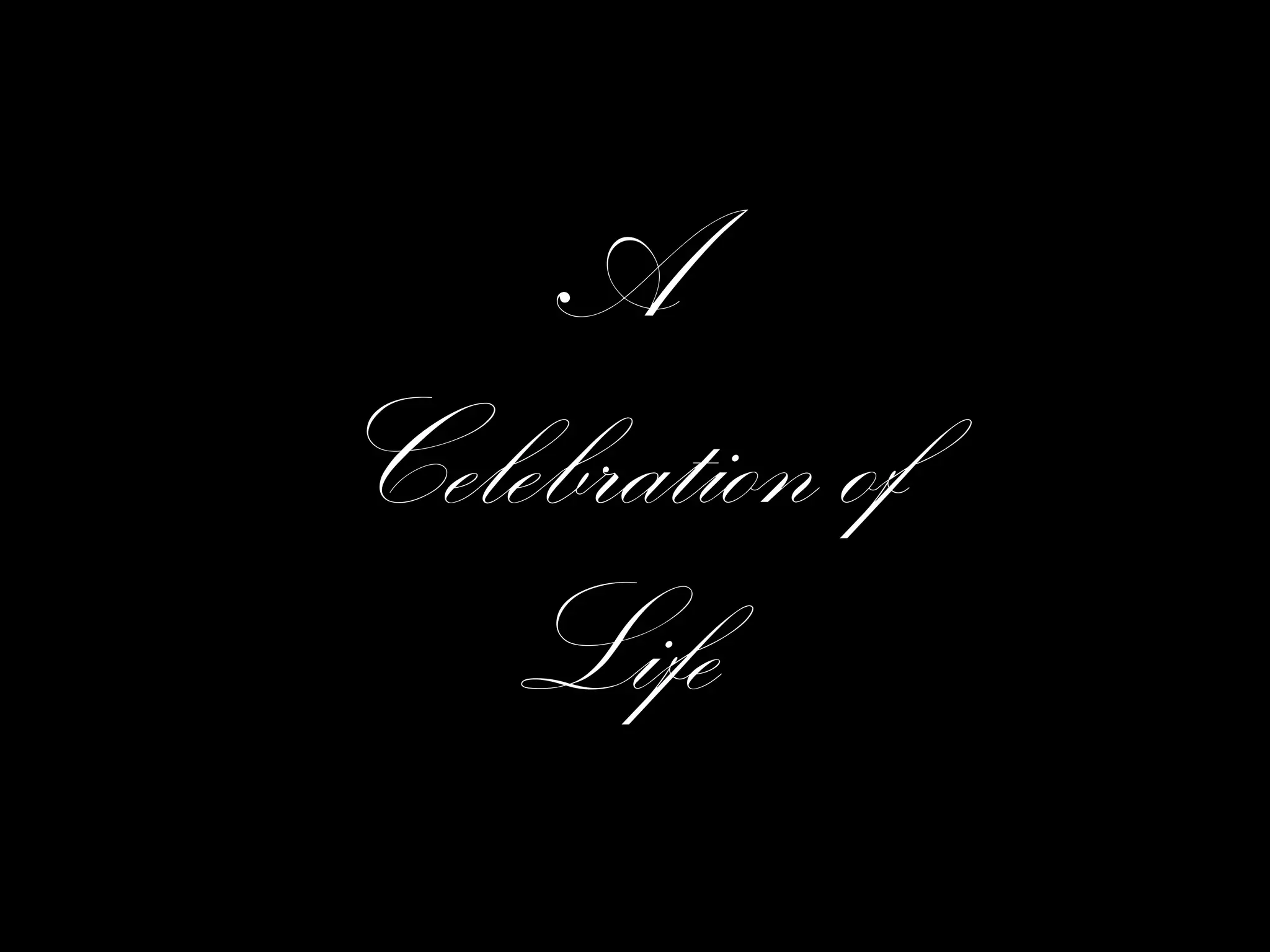 Brittany Murphy: A Celebration Of Her Life - u1zgss2