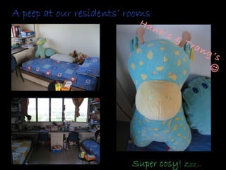 Super cosy!  Zzz… A peep at our residents’ rooms Hanh’s & Trang’s   