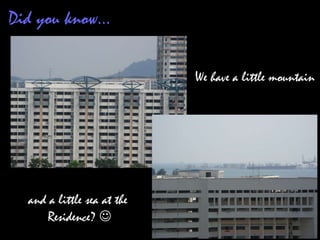 Did you know… We have a little mountain and a little sea at the  Residence?   