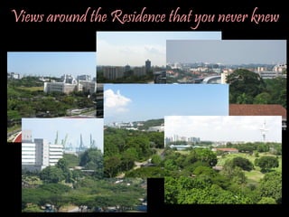 Views around the Residence that you never knew 
